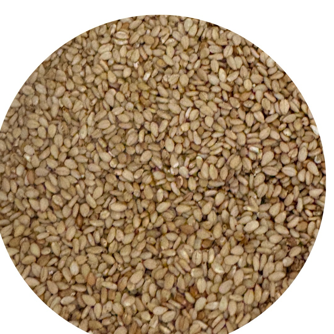 diseno-sin-titulo-8-2