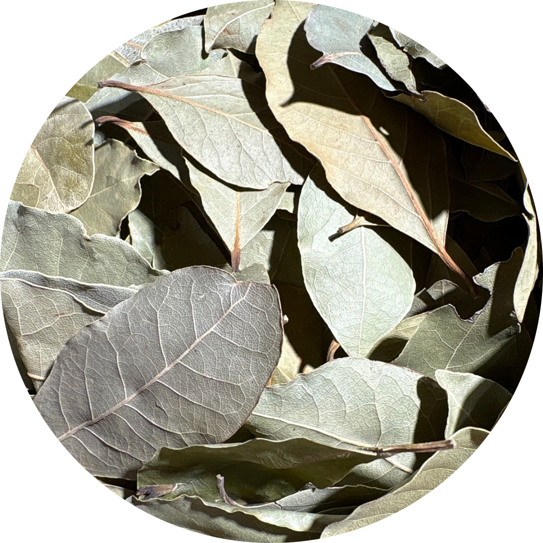 untitled-design-11-3