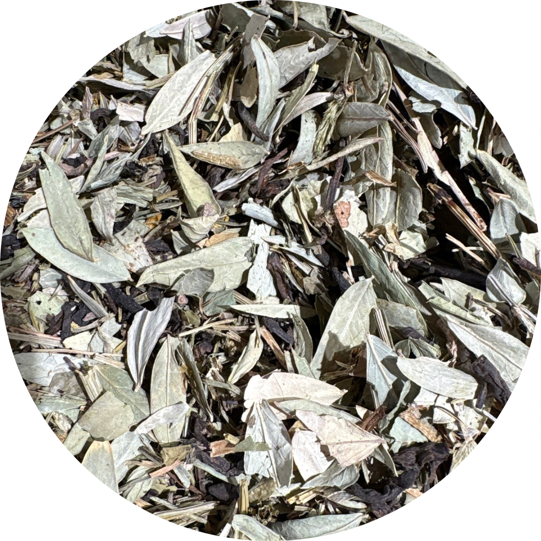 untitled-design-12-3